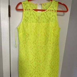 Lace JCrew dress NWT
